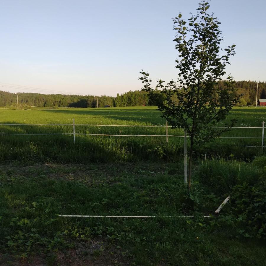 Countrycabin Bergslagen Stuga Ramsberg Eksteriør bilde